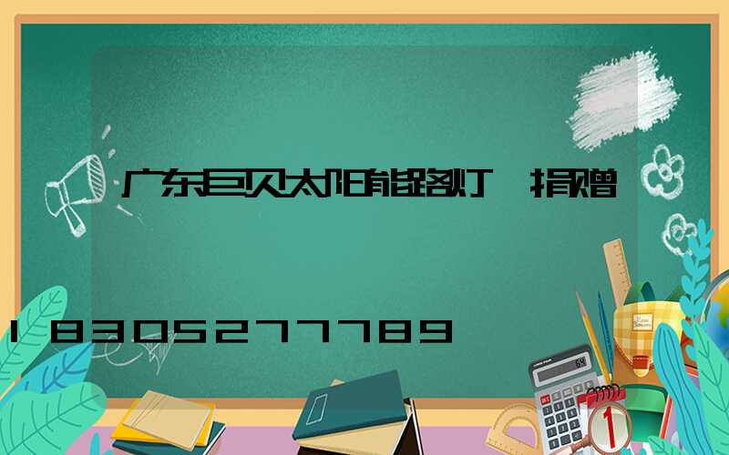 广东巨贝太阳能路灯 捐赠
